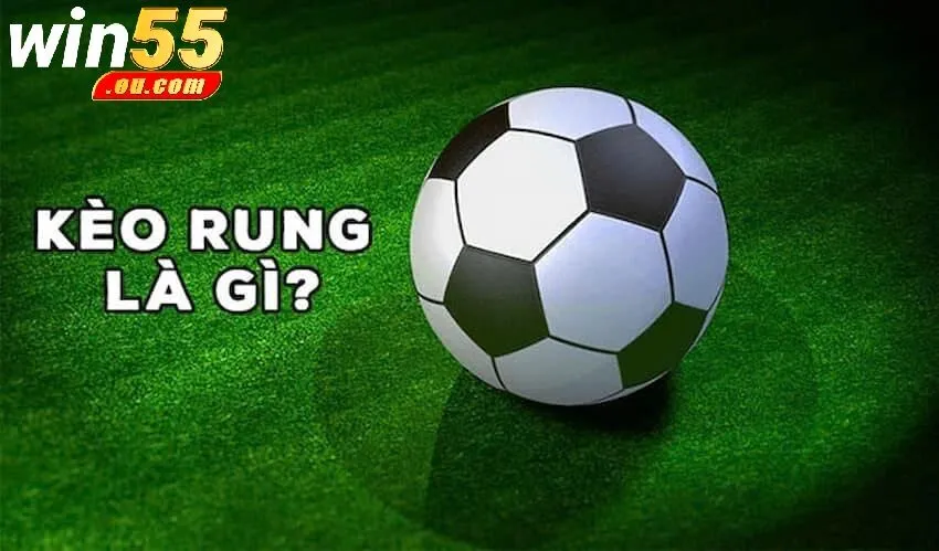 Ưu Điểm Khi Tham Gia Kèo Rung Tại Win55